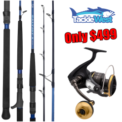 Daiwa Combo BG ARK/Saltist X