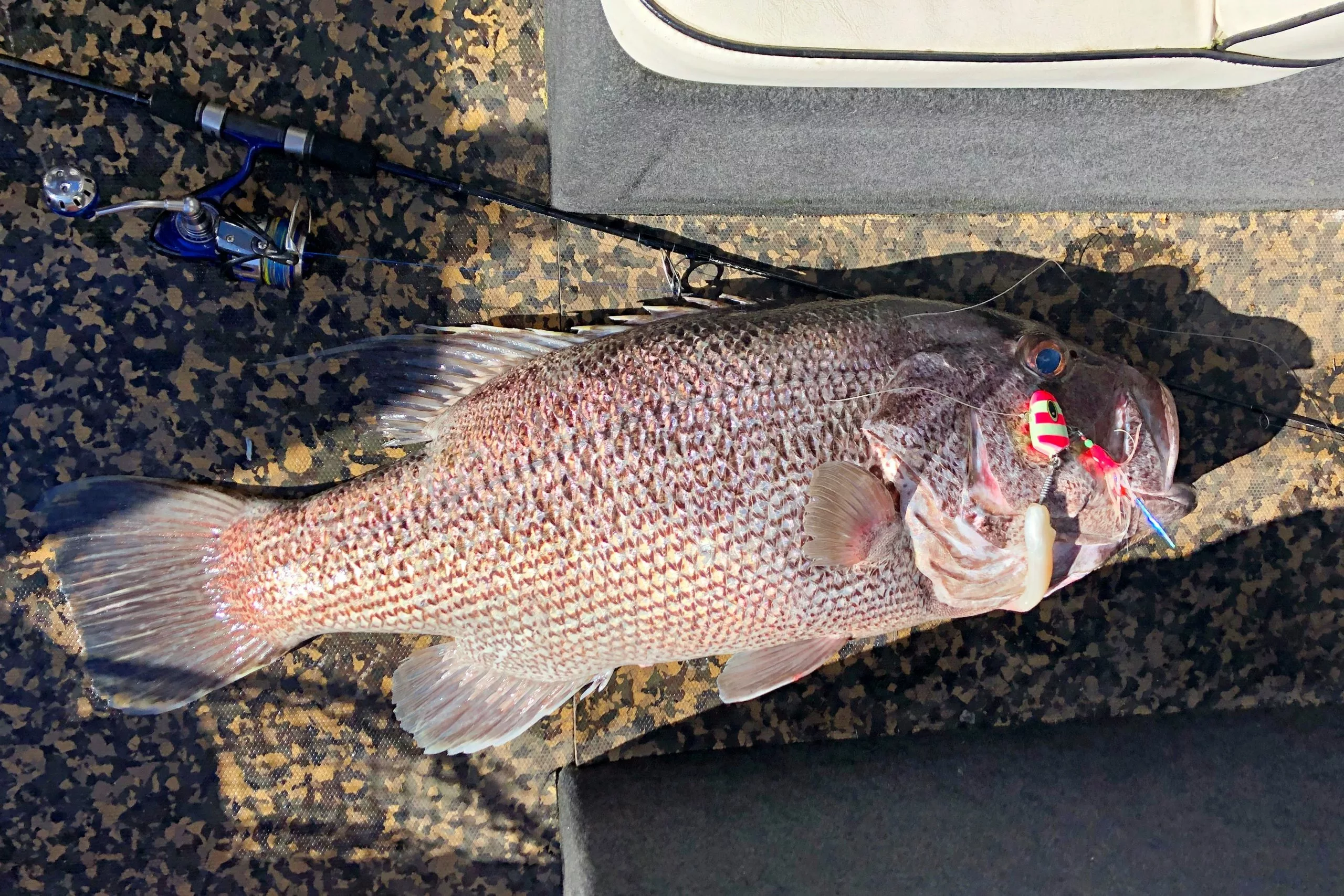 Vexed Dhu Head 7 Vexed Dhu Head - Image 7