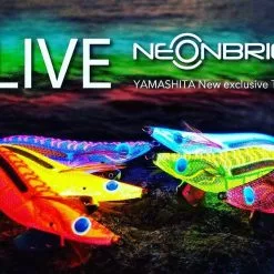 Yamashita Egi OH Live Neon -Reels Shop YamashitNeon