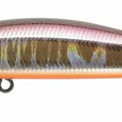 Zipbaits Rigge 56sp -Reels Shop ZipbaitsRigge56SP