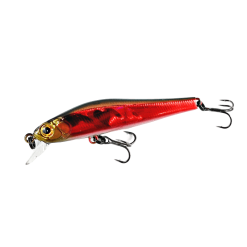 Zipbaits Rigge 56sp -Reels Shop ZipbaitsRigge56SP505