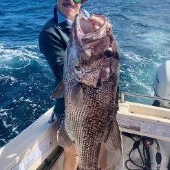 Vexed Cray Lord Head 12 Vexed Cray Lord Head -Reels Shop craylord2 scaled