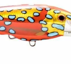 Nomad Design DTX Minnow 200 18 Nomad Design DTX Minnow 200 -Reels Shop ct coraltrout dtx 2 1 2000x 675b09f9 8ead 4c67 b27f 97e8d8862831