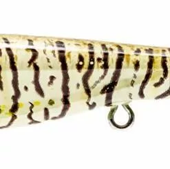 Nomad Design Dartwing 70