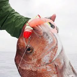 Vexed Idict Head -Reels Shop iDict Snapper 731b944a 23ab 46fa a5e0 282da3df2718 scaled