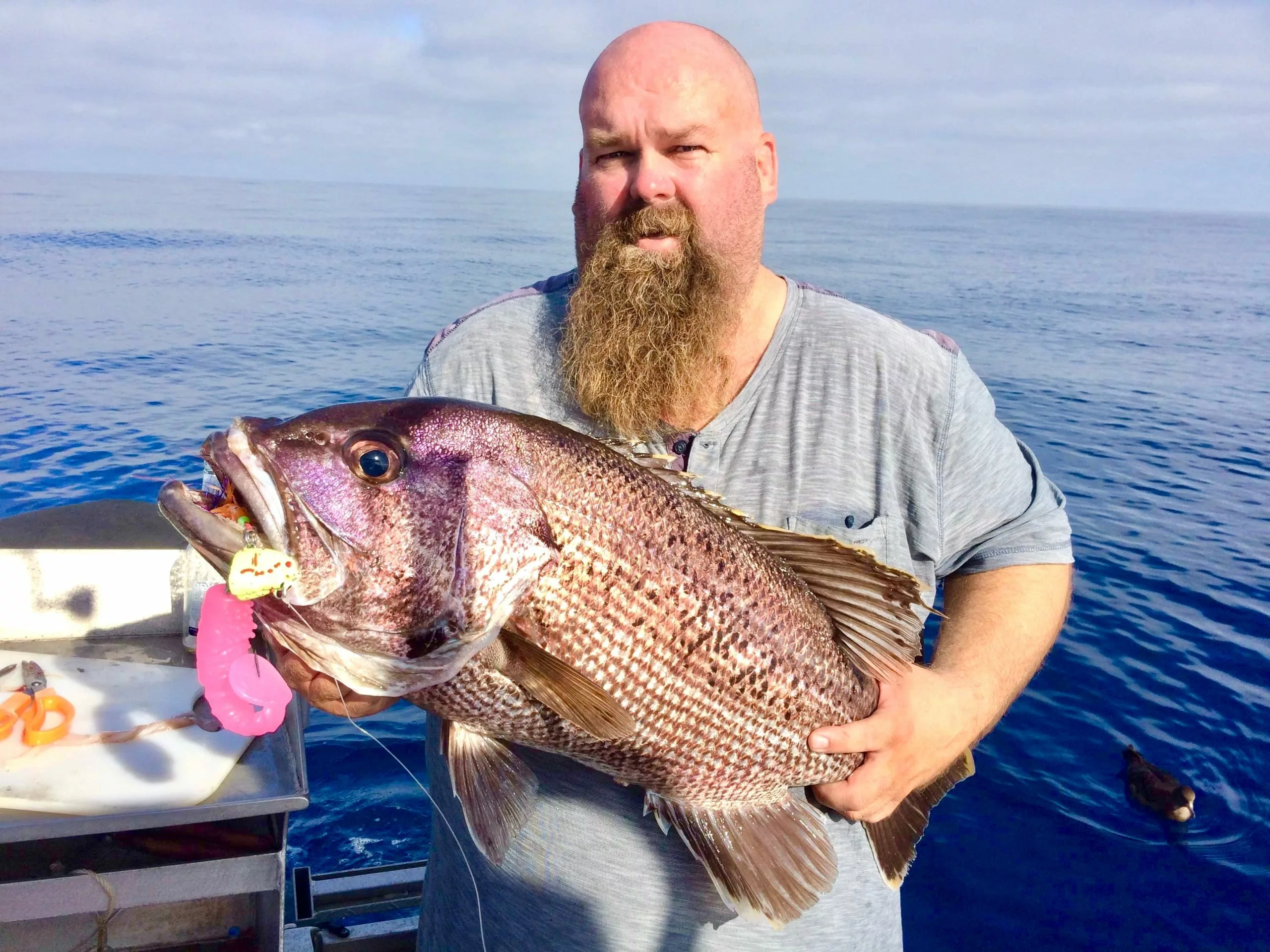 Vexed Cray Lord Head 5 Vexed Cray Lord Head - Image 5